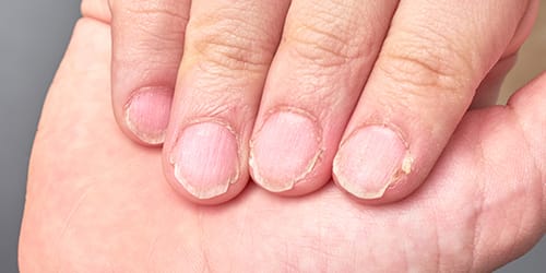 servicebox